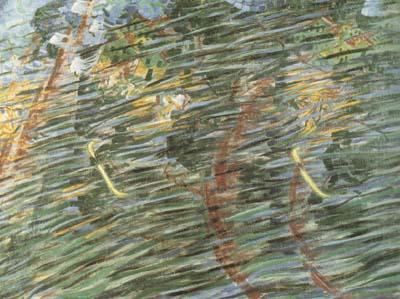Umberto Boccioni Unique Form of Continuity in Space (mk19) Germany oil painting art